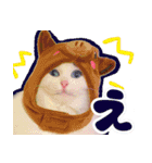 白猫のコノちゃんスタンプ（個別スタンプ：6）