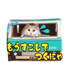 白猫のコノちゃんスタンプ（個別スタンプ：13）