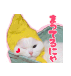 白猫のコノちゃんスタンプ（個別スタンプ：14）