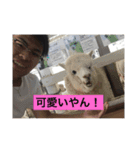 たいちゃんやで！3（個別スタンプ：15）