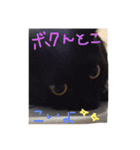 KIKI♡JIJI（個別スタンプ：1）