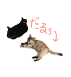 KIKI♡JIJI（個別スタンプ：2）
