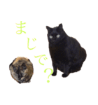 KIKI♡JIJI（個別スタンプ：3）