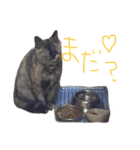 KIKI♡JIJI（個別スタンプ：6）