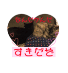 KIKI♡JIJI（個別スタンプ：8）