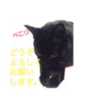 KIKI♡JIJI（個別スタンプ：21）