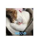 可愛いサラ（個別スタンプ：3）