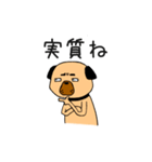 フォー犬と奇妙な言葉たち（個別スタンプ：3）