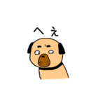 フォー犬と奇妙な言葉たち（個別スタンプ：5）