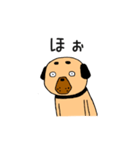 フォー犬と奇妙な言葉たち（個別スタンプ：6）