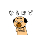 フォー犬と奇妙な言葉たち（個別スタンプ：7）