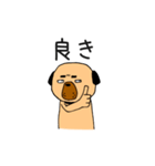 フォー犬と奇妙な言葉たち（個別スタンプ：12）