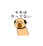 フォー犬と奇妙な言葉たち（個別スタンプ：22）