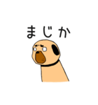 フォー犬と奇妙な言葉たち（個別スタンプ：28）