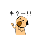 フォー犬と奇妙な言葉たち（個別スタンプ：29）
