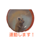 キンクマハムスターのモーティー（個別スタンプ：18）