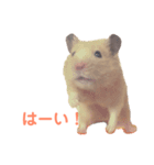 キンクマハムスターのモーティー（個別スタンプ：21）