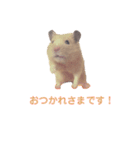 キンクマハムスターのモーティー（個別スタンプ：22）