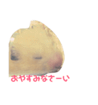 キンクマハムスターのモーティー（個別スタンプ：24）