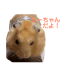 キンクマハムスターのモーティー（個別スタンプ：25）