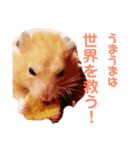 キンクマハムスターのモーティー（個別スタンプ：31）