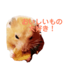 キンクマハムスターのモーティー（個別スタンプ：32）