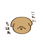 すごく目が寄っている犬（個別スタンプ：2）
