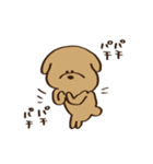 すごく目が寄っている犬（個別スタンプ：9）