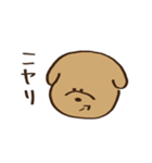 すごく目が寄っている犬（個別スタンプ：12）