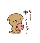 すごく目が寄っている犬（個別スタンプ：13）