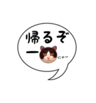 ハチワレ猫 吹き出しデザイン（個別スタンプ：10）