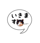 ハチワレ猫 吹き出しデザイン（個別スタンプ：11）