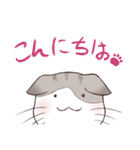 ぷぅすけさんが鳴くことにゃ スタンプ（個別スタンプ：2）