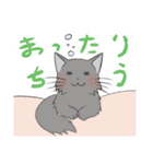 ぷぅすけさんが鳴くことにゃ スタンプ（個別スタンプ：3）