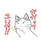 ぷぅすけさんが鳴くことにゃ スタンプ（個別スタンプ：11）
