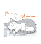 ぷぅすけさんが鳴くことにゃ スタンプ（個別スタンプ：13）
