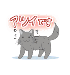 ぷぅすけさんが鳴くことにゃ スタンプ（個別スタンプ：14）