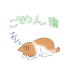 ぷぅすけさんが鳴くことにゃ スタンプ（個別スタンプ：20）
