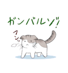 ぷぅすけさんが鳴くことにゃ スタンプ（個別スタンプ：21）