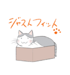 ぷぅすけさんが鳴くことにゃ スタンプ（個別スタンプ：23）
