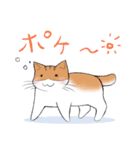 ぷぅすけさんが鳴くことにゃ スタンプ（個別スタンプ：28）
