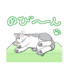 ぷぅすけさんが鳴くことにゃ スタンプ（個別スタンプ：29）