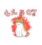 ぷぅすけさんが鳴くことにゃ スタンプ（個別スタンプ：30）