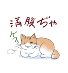 ぷぅすけさんが鳴くことにゃ スタンプ（個別スタンプ：33）
