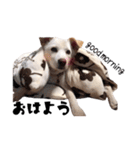 愛犬ぴーすけ（個別スタンプ：15）