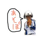 おちん銀ず おちん東 公式スタンプ（個別スタンプ：11）