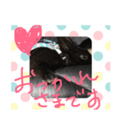 黒うさぎさんお仕事スタンプ（個別スタンプ：1）