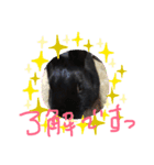 黒うさぎさんお仕事スタンプ（個別スタンプ：2）