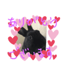 黒うさぎさんお仕事スタンプ（個別スタンプ：3）