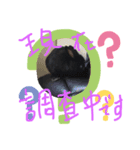 黒うさぎさんお仕事スタンプ（個別スタンプ：5）